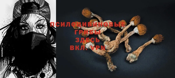стафф Кинешма