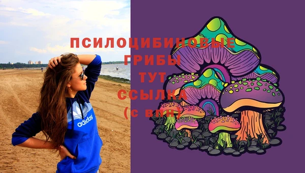 стафф Кинешма