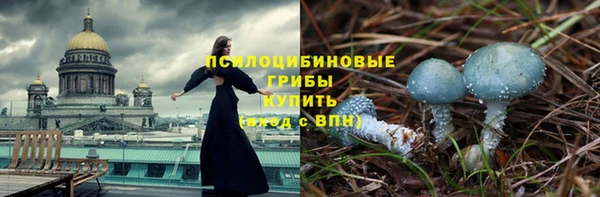 стафф Кинешма