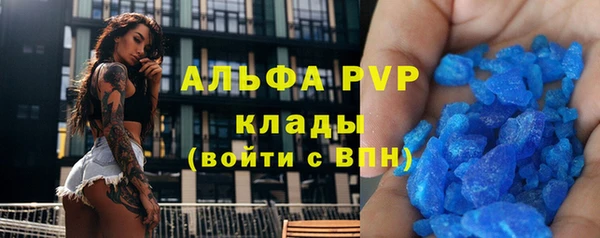 СК Касимов